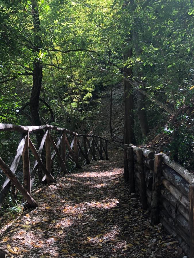 Il Minotauro B&B A 5 Minuti Da Popoli Vittorito Dış mekan fotoğraf
